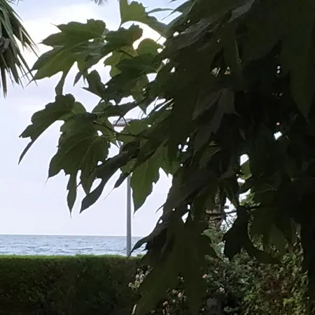 Apartament Del Mar Apartment Miami Playa