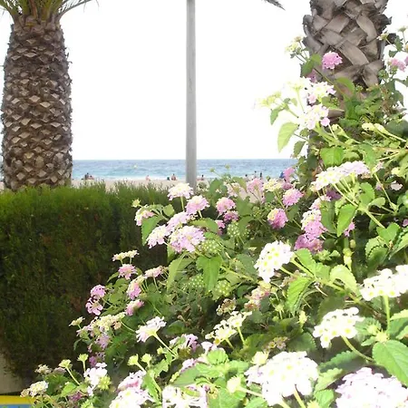 Apartament Del Mar Apartment *
