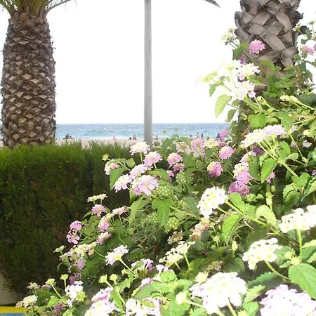 Del Mar Lejlighed *